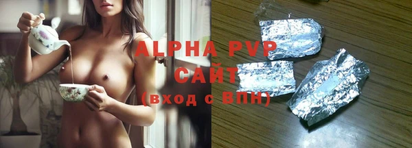 МДПВ Каменка