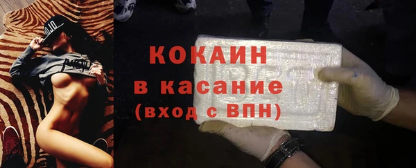 МДПВ Каменка