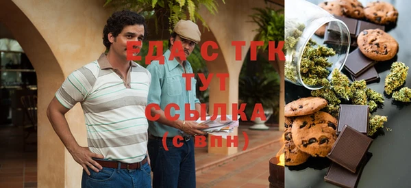 МДПВ Каменка