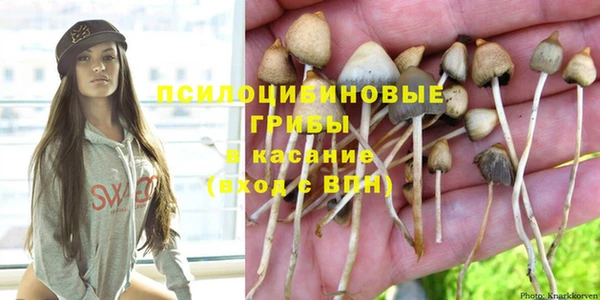 шишки Каменск-Шахтинский