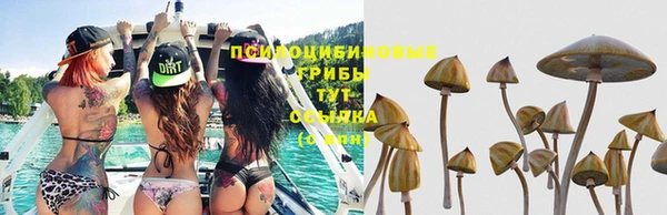 кокаин Каменногорск