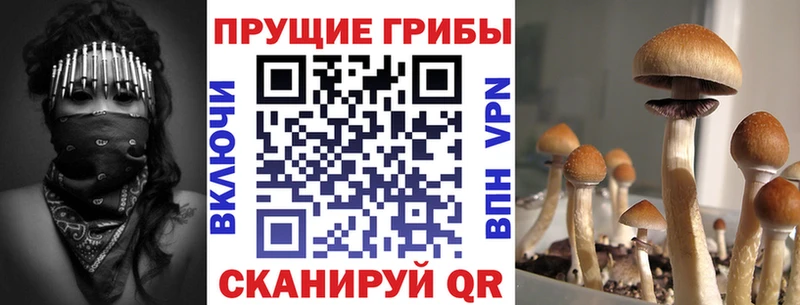 KRAKEN ТОР  закладки  Северск  Галлюциногенные грибы мухоморы 
